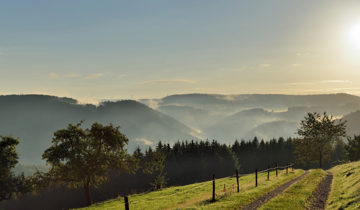 Ausbildung zum Biosphären-Guide Schwarzwald startet im März 2026 – Bewerbungsfrist im Januar Ausbildung zum Biosphären-Guide Schwarzwald startet im März 2026 – Bewerbungsfrist im Januar