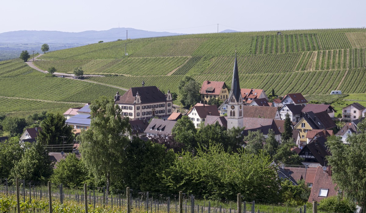 Ausstellung „Ebringen 1825“ zeigt Anfänge der Archäologie in Südbaden
