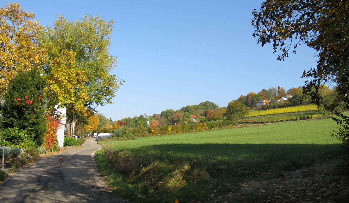 Baumfällarbeiten führen zu zweitägiger Sperrung der Schlierbergstraße Baumfällarbeiten führen zu zweitägiger Sperrung der Schlierbergstraße