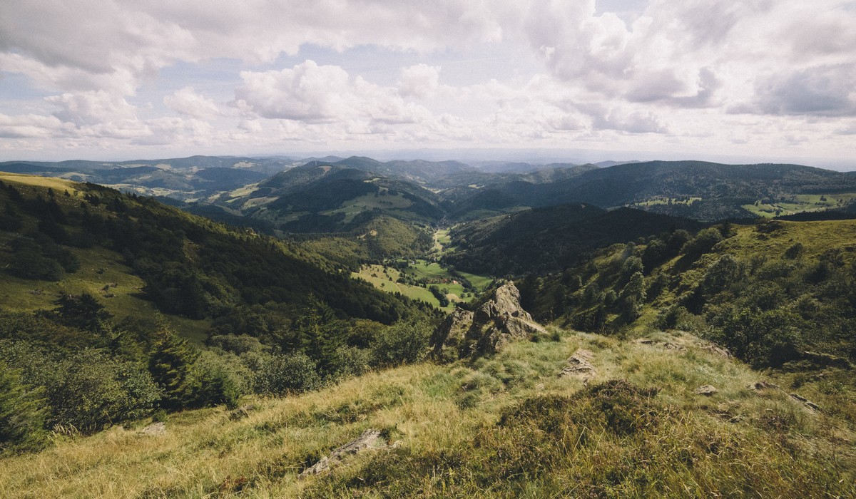 Biosphärengebiet Schwarzwald startet Veranstaltungsreihe Forum Landnutzung mit Workshop zur Klauenpflege Biosphärengebiet Schwarzwald startet Veranstaltungsreihe Forum Landnutzung mit Workshop zur Klauenpflege