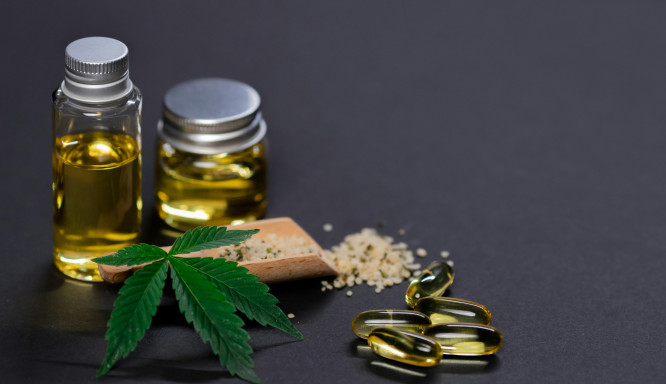 CBD im Fokus: Trends, die den Alltag bereichern