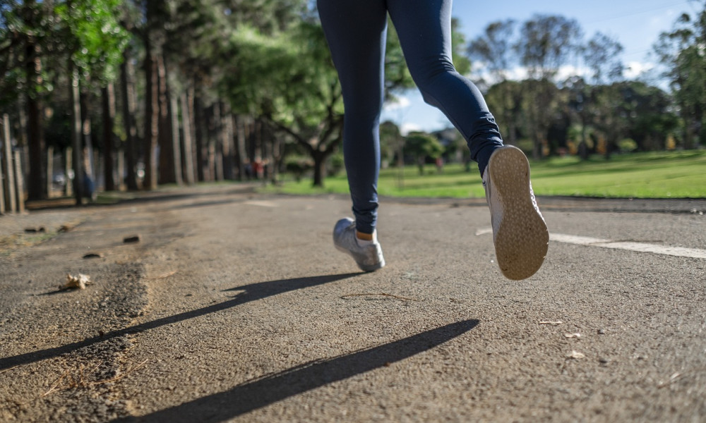 Die besten Laufstrecken in und um Freiburg: Tipps für Läufer