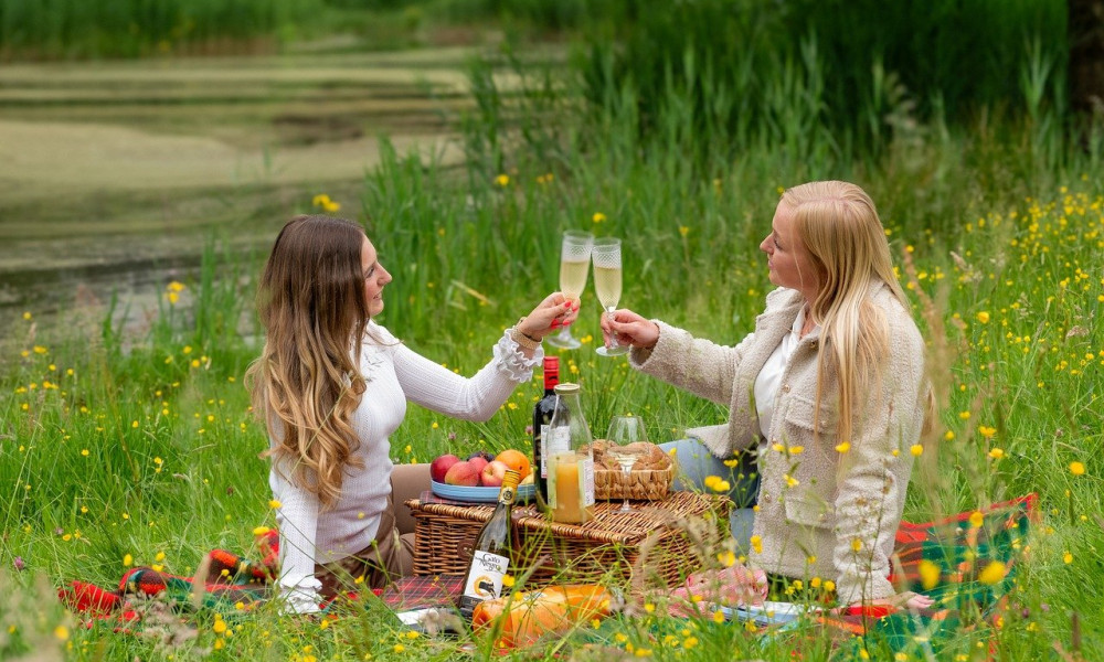 Die besten Plätze für ein Picknick in Freiburg