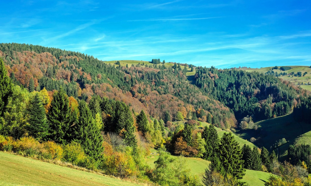 Die schönsten Aussichtspunkte im Schwarzwald: Naturerlebnisse rund um Freiburg