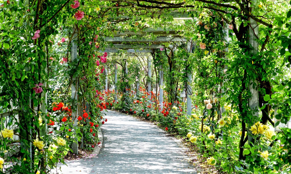 Die schönsten Parks und Grünanlagen in Freiburg für einen entspannten Tag