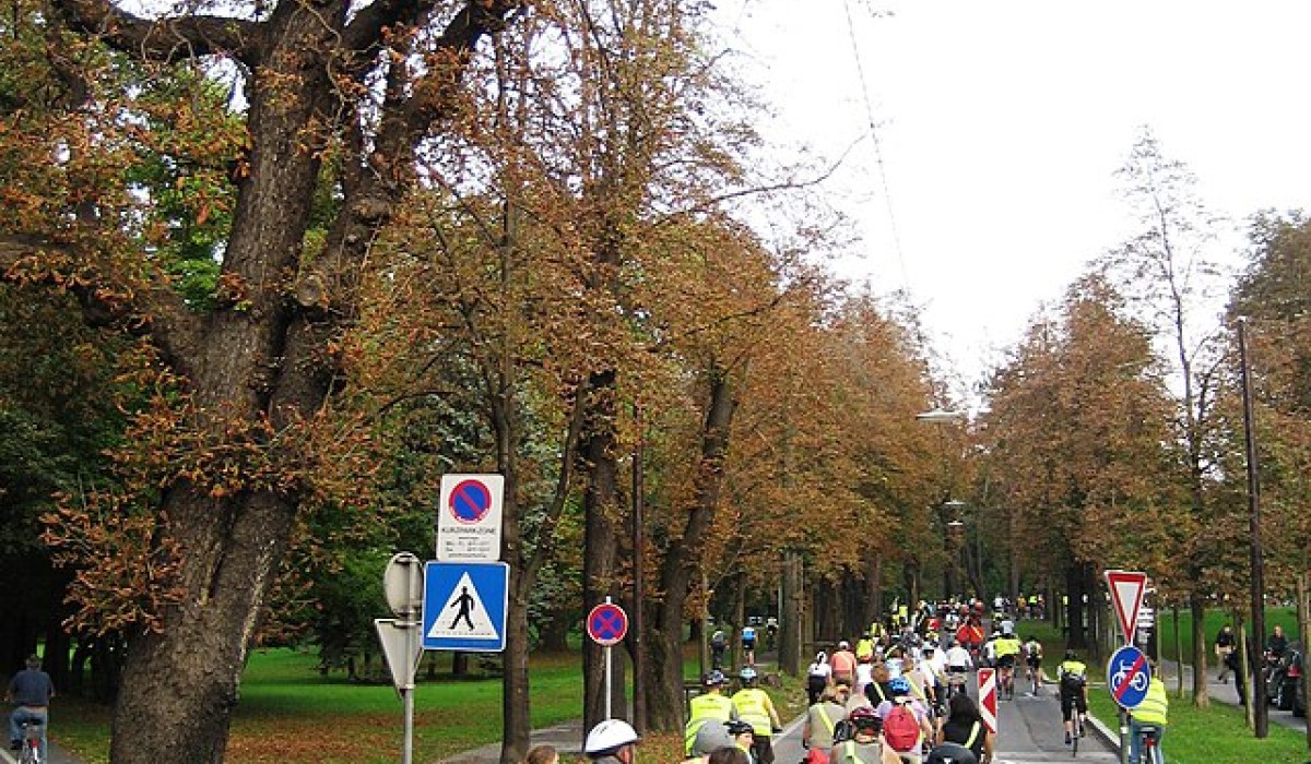 Fahrradkorso gegen Bebauung auf der Zähringer Höhe und mehrere Mahnwachen in Freiburg