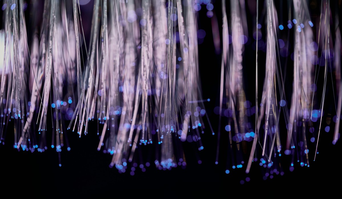 Freiburg bekommt eine Million Euro für Glasfaser in schwer zugänglichen Waldseegebieten Freiburg bekommt eine Million Euro für Glasfaser in schwer zugänglichen Waldseegebieten