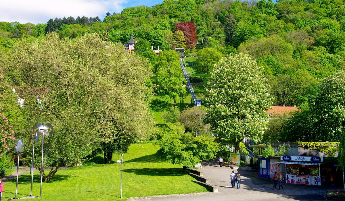 Freiburg bewertet seine Grünräume überwiegend positiv, lokale Unterschiede sichtbar