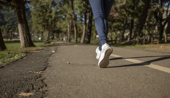 Freiburg Health Day: Ein Tag im Zeichen von Gesundheit und Wohlbefinden