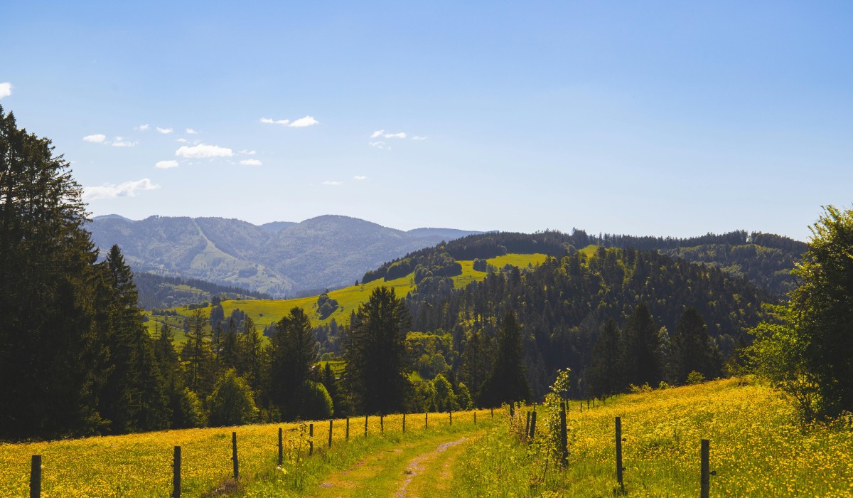 Gastronomie sammelt 1.700 Euro für ehrenamtliche Landschaftspflege im Schwarzwald Gastronomie sammelt 1.700 Euro für ehrenamtliche Landschaftspflege im Schwarzwald