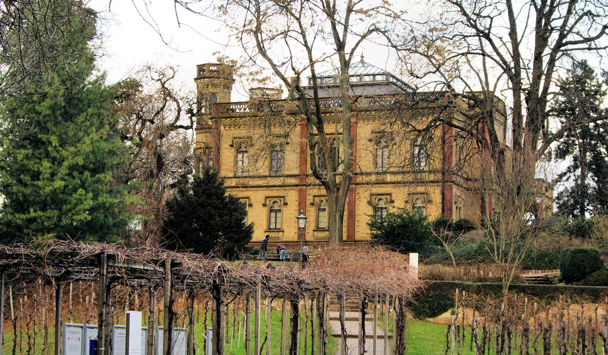 Nach Stationen in Forschung und Vermittlung: Hans Oelze übernimmt Leitung des Colombischlössle ab April