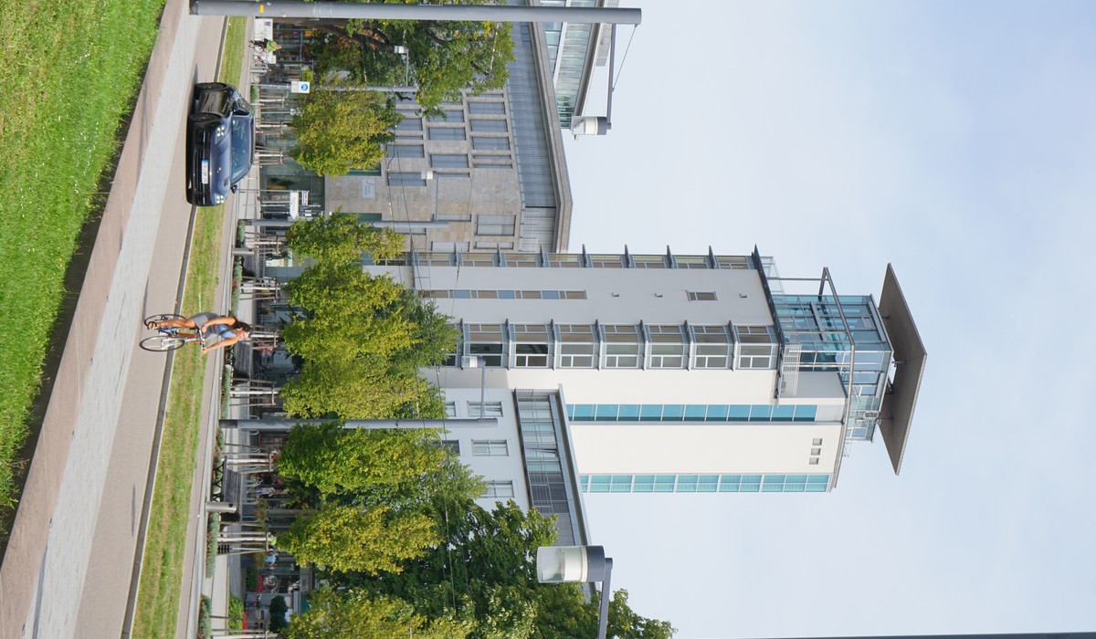 Pilzbefall macht Linde am Predigertor unsicher – nächtliche Fällarbeiten und Sperrung des Rotteckrings