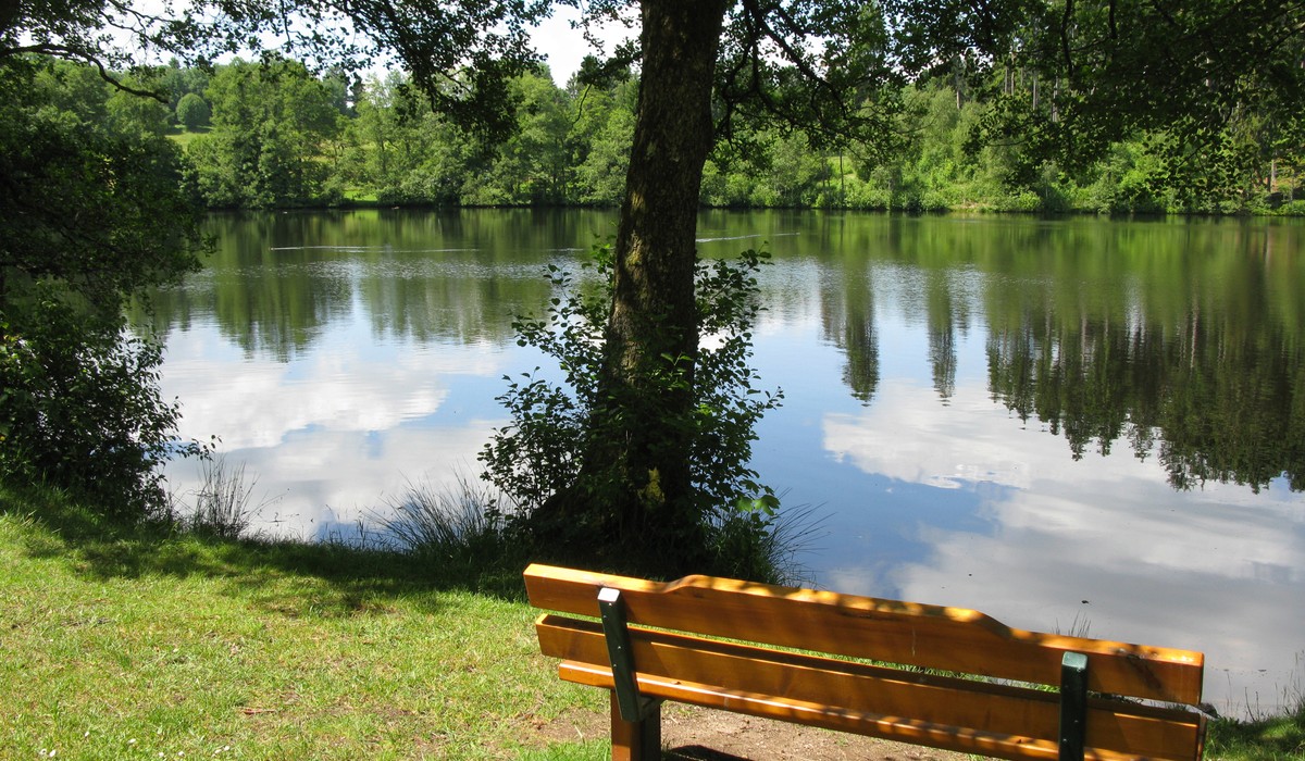 Sanierung des Schlüchtseedamms vorgezogen 1,3 Millionen Euro bewilligt