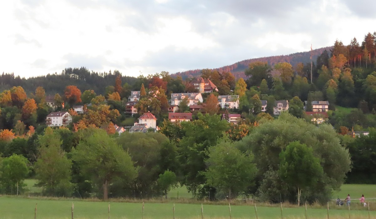 Stadt Freiburg begutachtet Gewässerlauf am Hinterwalddobel – Begehung am 24. November