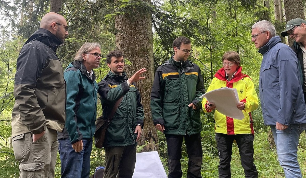 Zehnjahresplan soll Oppenauer Stadtwald für den Klimawandel rüsten